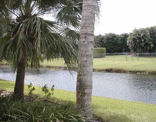 6702 Newport Boca Raton, FL 33496 - Photo 2 of 2 a view of a yard with plants