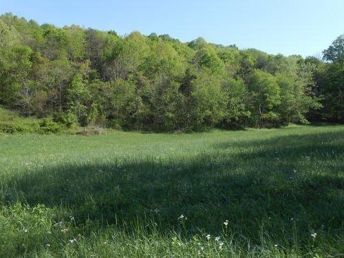 213 Chestnut Grove Road Monticello, KY 42633 - Photo 16 of 35 Additional Photo