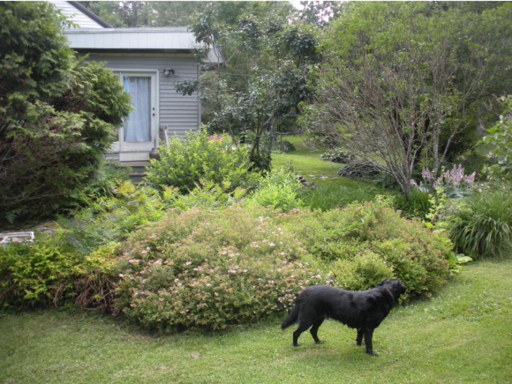 9216 County Road Calais, VT 05648 - Photo 18 of 20