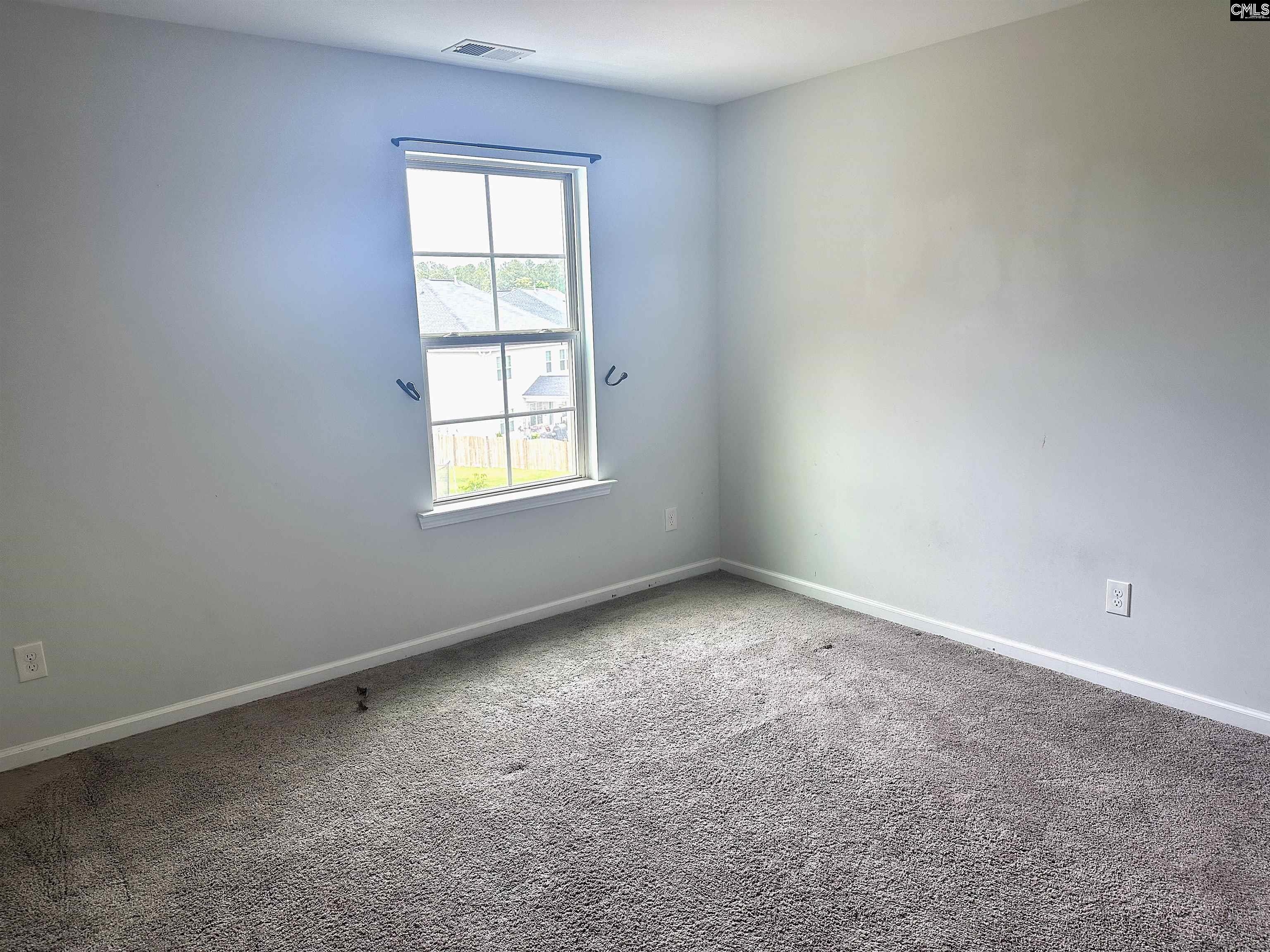 412 Maria Posada Court Chapin, SC 29036 - Photo 22 of 26