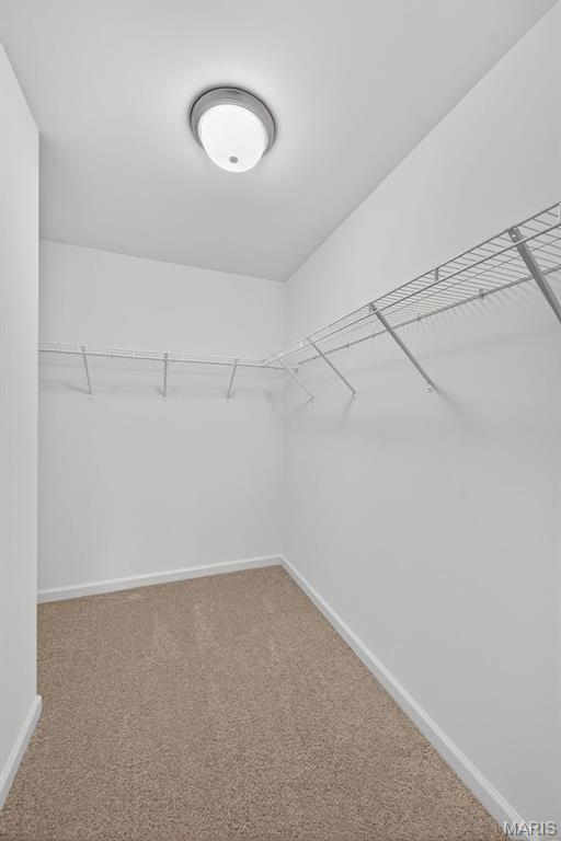 3039 Pirogue Street St. Charles, MO 63301 - Photo 42 of 47