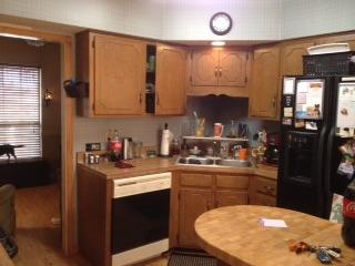 365 Cedarcliff Road Antioch, TN 37013 - Photo 3 of 7 a kitchen with a sink cabinets and window