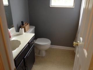 365 Cedarcliff Road Antioch, TN 37013 - Photo 7 of 7 a bathroom with a sink toilet and a mirror