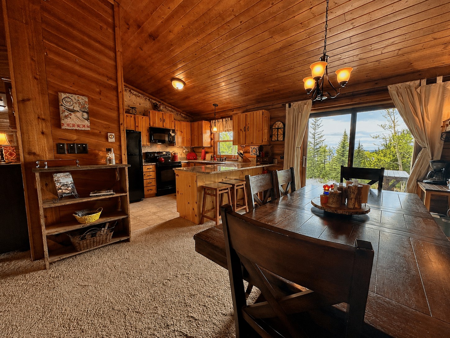 312 Bowstring Road Como, CO 80456 - Photo 8 of 43