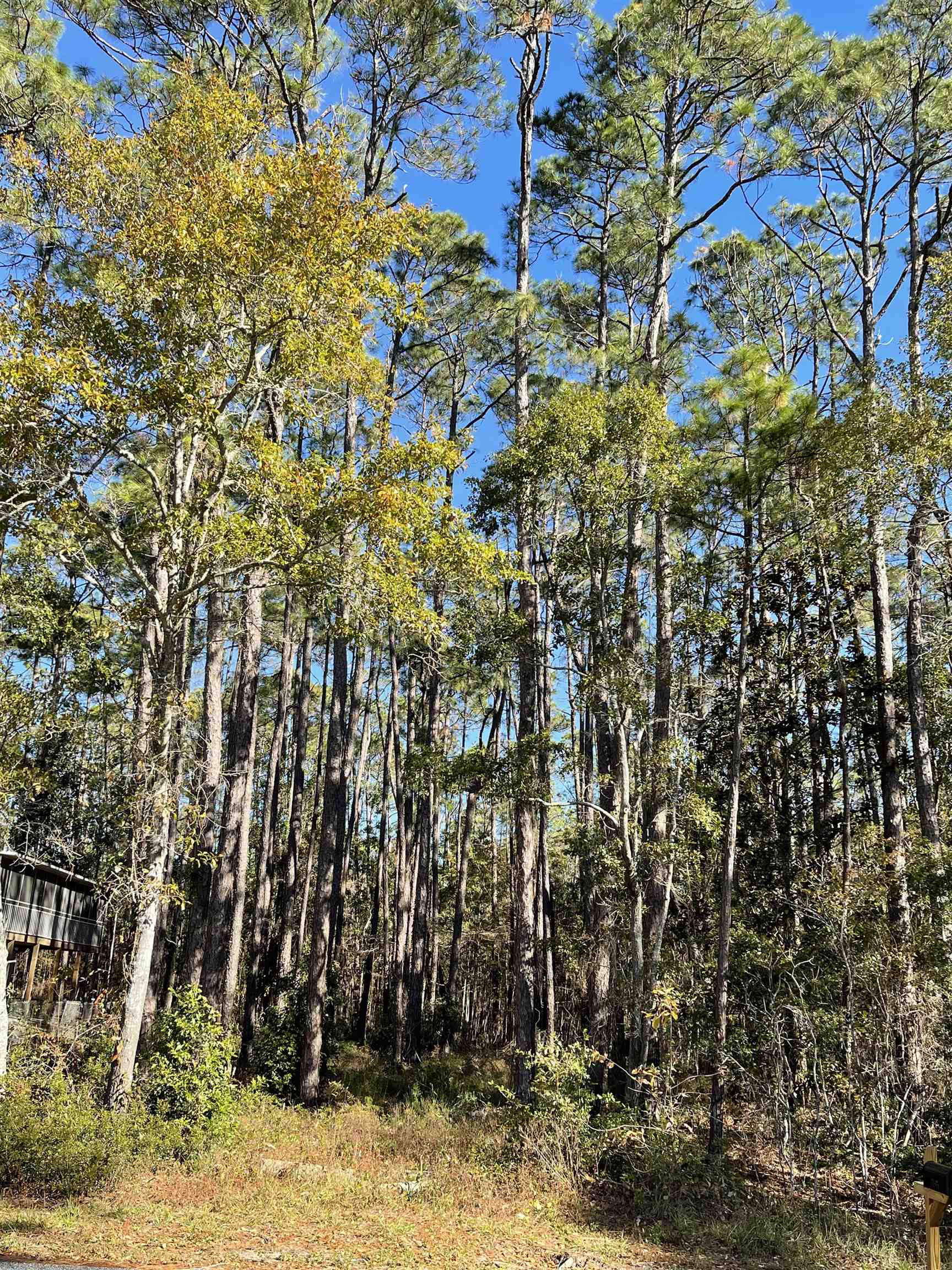 10790 County Road 1 Fairhope, AL 36532 - Photo 6 of 12