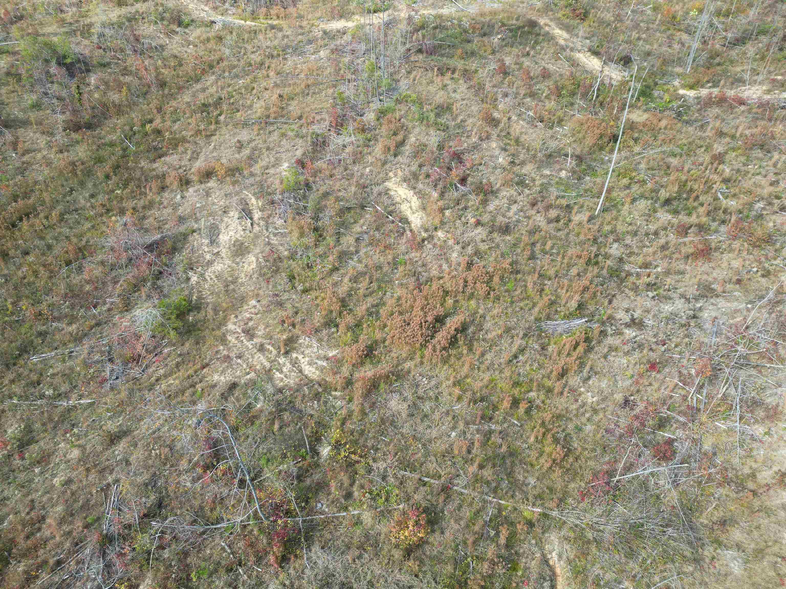 7 Carnal Road Huntingdon, TN 38344 - Photo 4 of 10 a close up of a wall