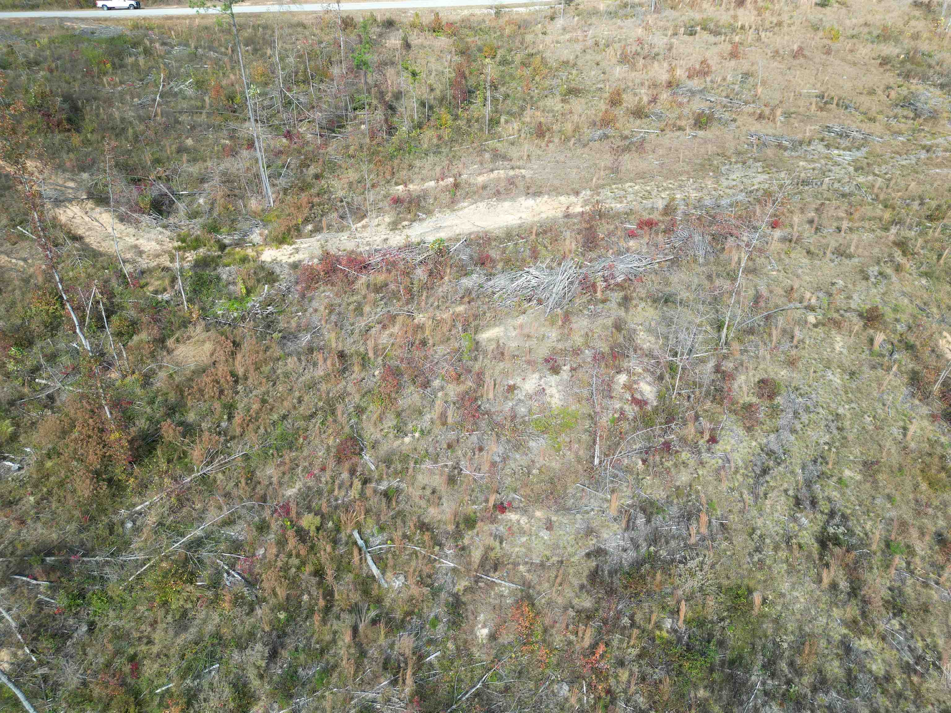 7 Carnal Road Huntingdon, TN 38344 - Photo 6 of 10 Drone / aerial view