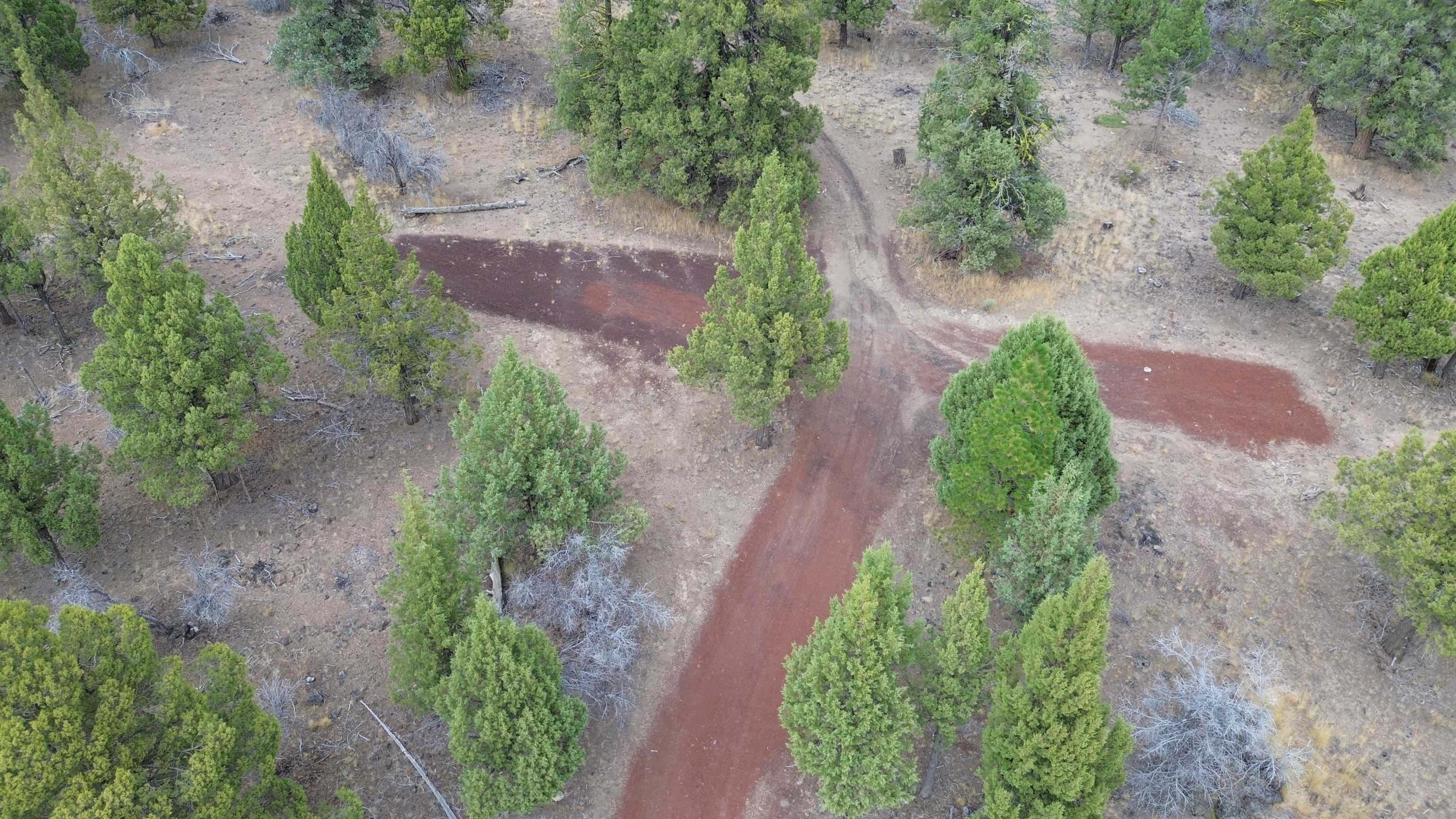 Robison Road Macdoel, CA 96058 - Photo 7 of 30 Gallery Image 7