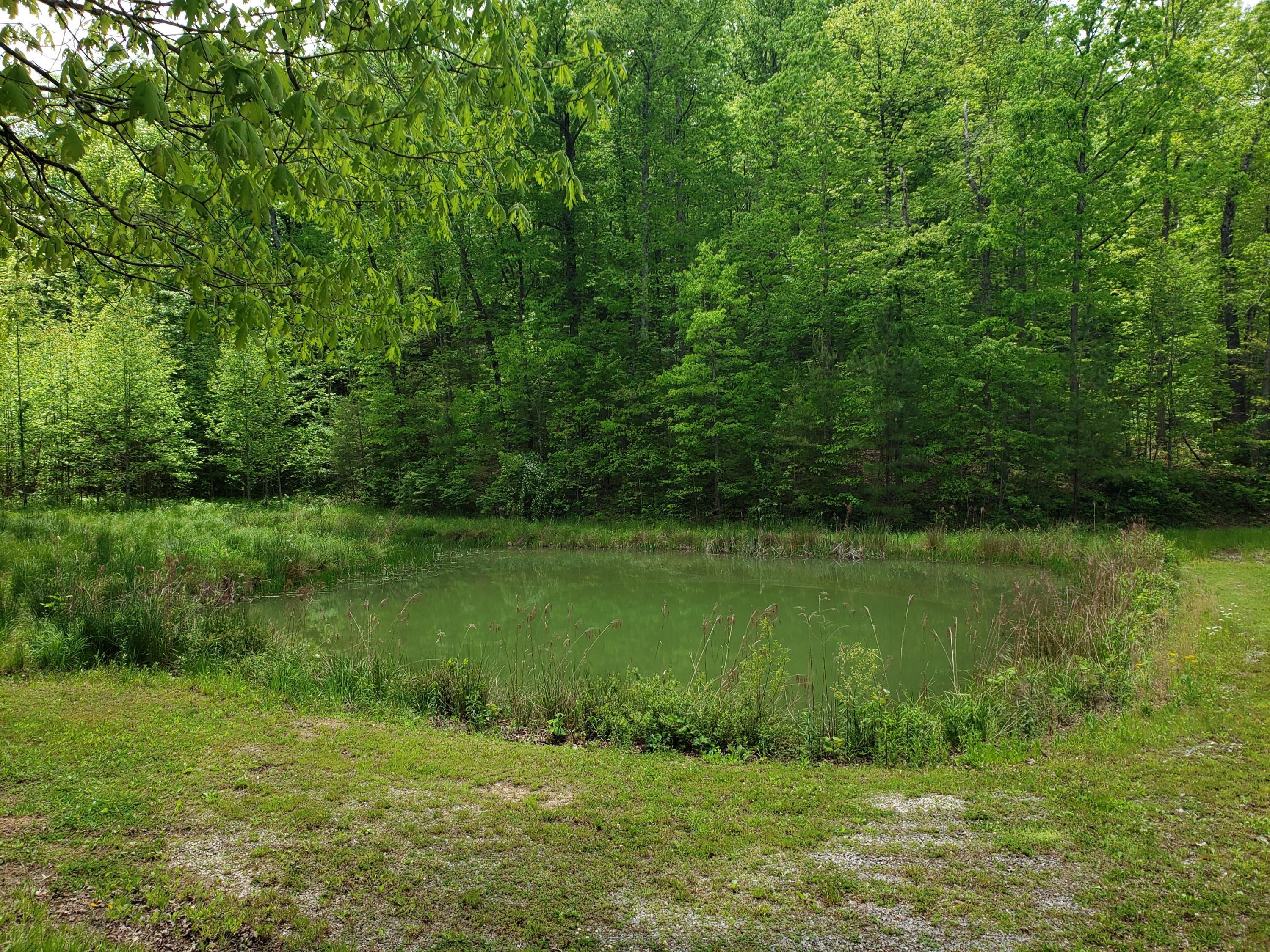 1206 Myers Loop Road, Unit 26 Pikeville, TN 37367 - Photo 8 of 33 20200518_125819