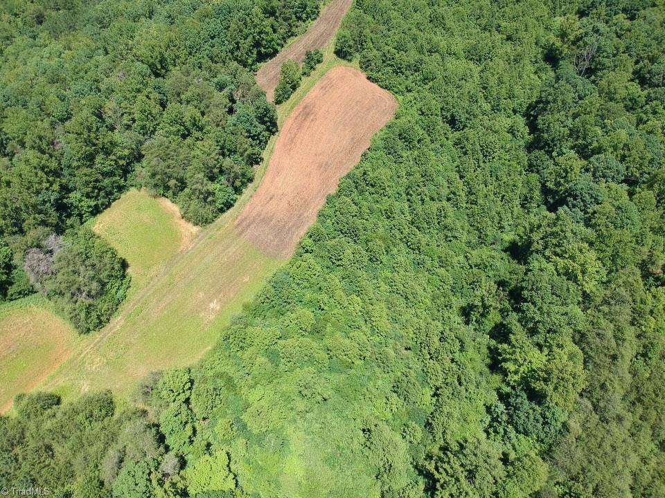 Tbd Romie Snow Road Dobson, NC 27017 - Photo 11 of 13 Gallery Image 11