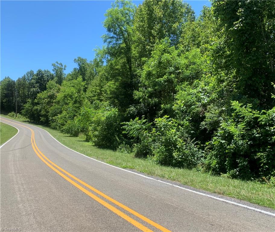 Tbd Romie Snow Road Dobson, NC 27017 - Photo 12 of 13 Gallery Image 12