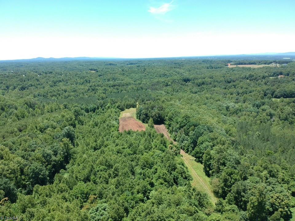 Tbd Romie Snow Road Dobson, NC 27017 - Photo 6 of 13 Gallery Image 6