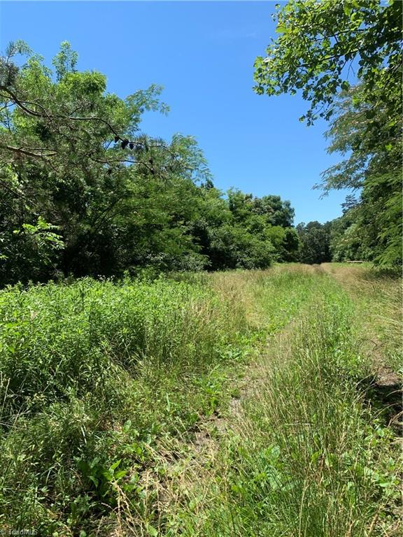 Tbd Romie Snow Road Dobson, NC 27017 - Photo 7 of 13 Gallery Image 7
