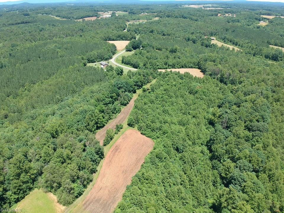 Tbd Romie Snow Road Dobson, NC 27017 - Photo 10 of 13 Gallery Image 10