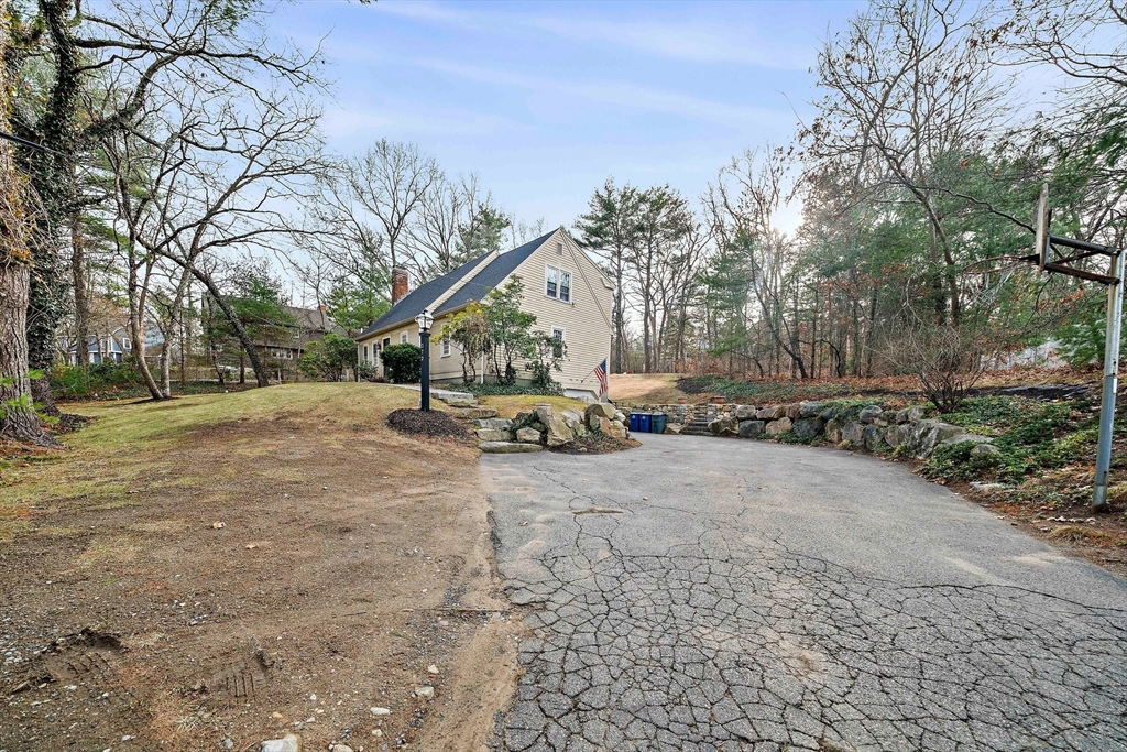 372 Winter Street Walpole, MA 02081 - Photo 35 of 42 a park view with large trees