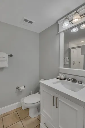 a bathroom with a sink a toilet and a mirror
