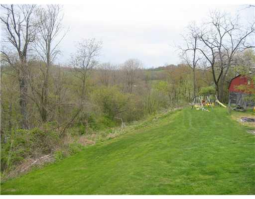 161 Munntown Road Eighty Four, PA 15330 - Photo 3 of 12 View. rear yard and barn