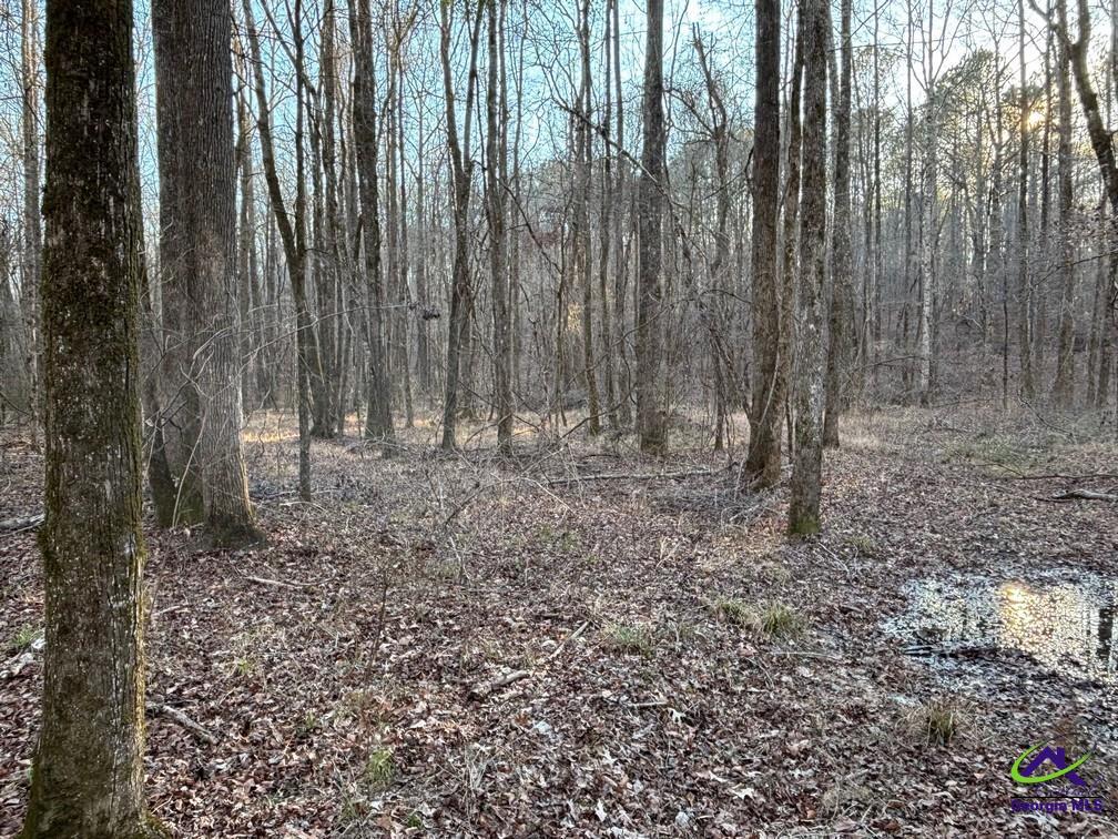 1351 Dixon Road Roberta, GA 31078 - Photo 13 of 26