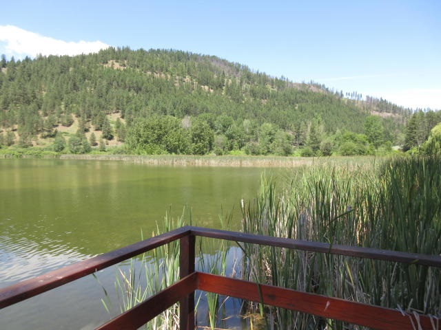 1011 Mission Ridge Way Kettle Falls, WA 99141 - Photo 13 of 14 Gallery Image 13