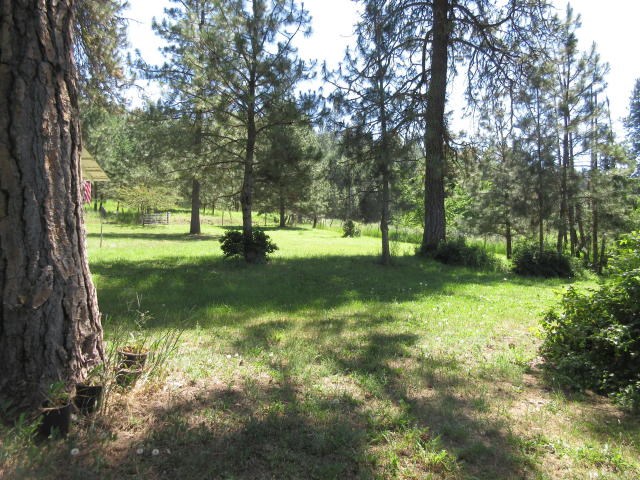 1011 Mission Ridge Way Kettle Falls, WA 99141 - Photo 3 of 14 Gallery Image 3