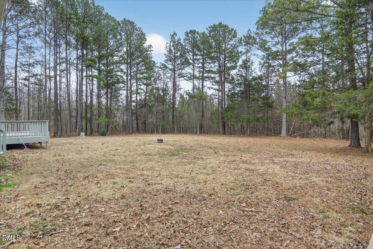 4098 Charlie Harris Road Oxford, NC 27565 - Photo 59 of 75 Back yard
