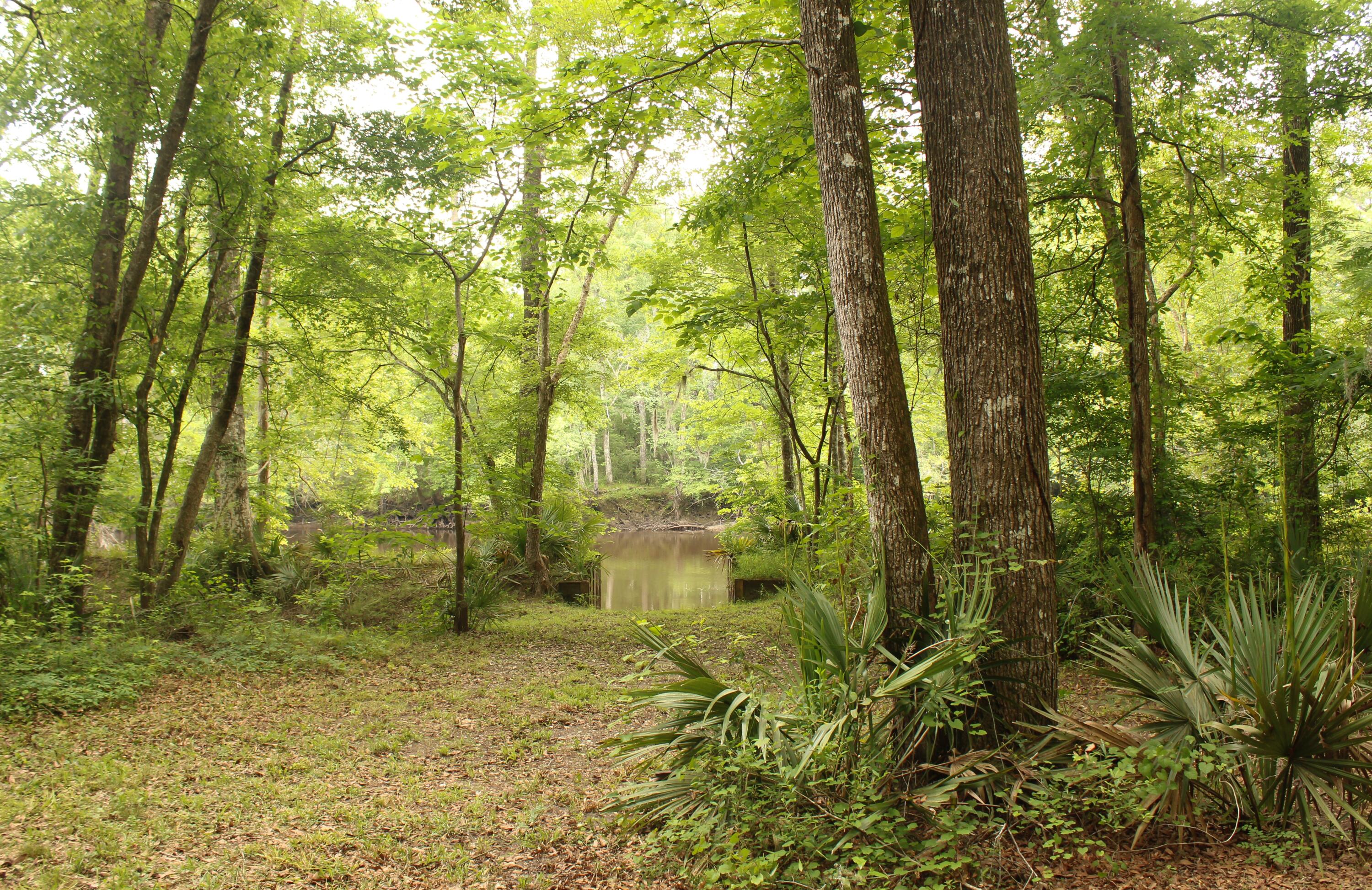 5451 Wire Road Branchville, SC 29432 - Photo 31 of 31