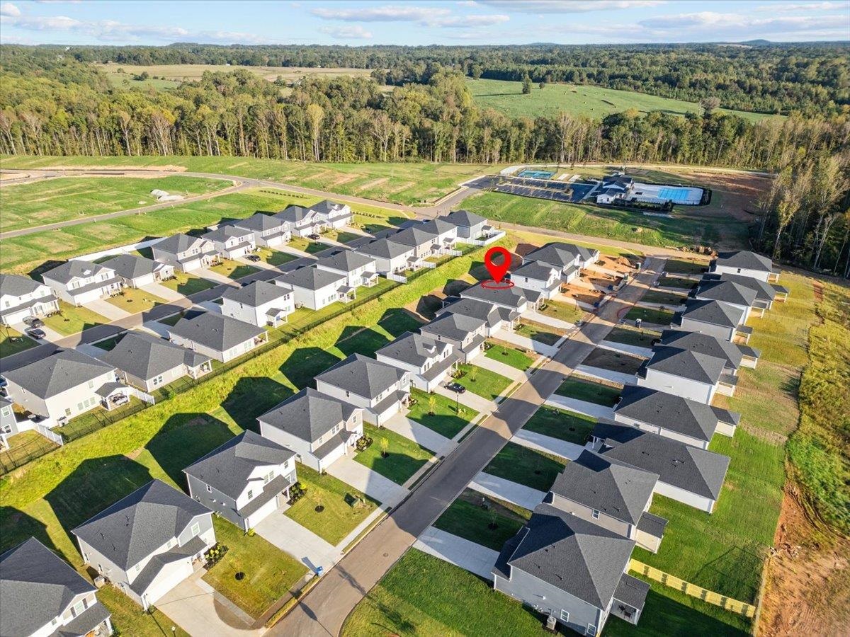 213 Tantalus Street Gray Court, SC 29645 - Photo 32 of 41