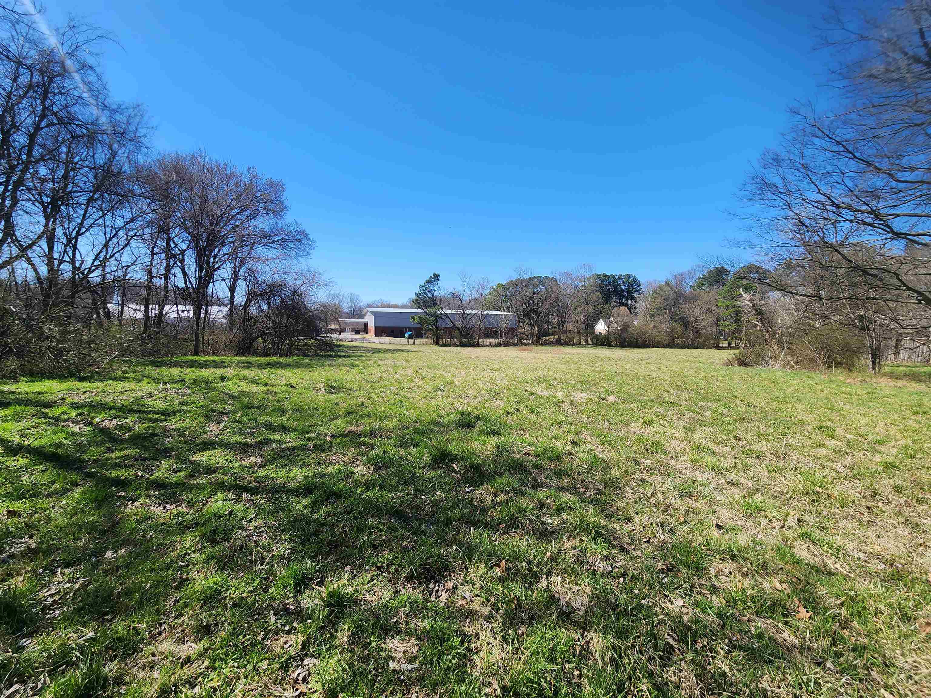 0 Reed Circle Drummonds, TN 38023 - Photo 1 of 2 a view of a grassy field with trees in the background