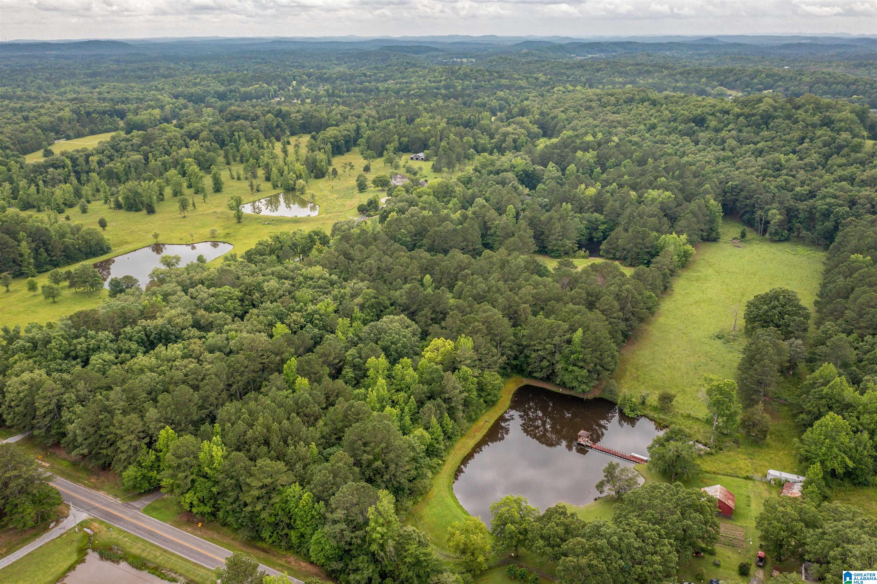 1329 Nisbet Lake Road Jacksonville, AL 36265 - Photo 57 of 60