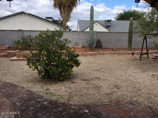 1326 East Utopia Road Phoenix, AZ 85024 - Photo 11 of 18 Backyard 3