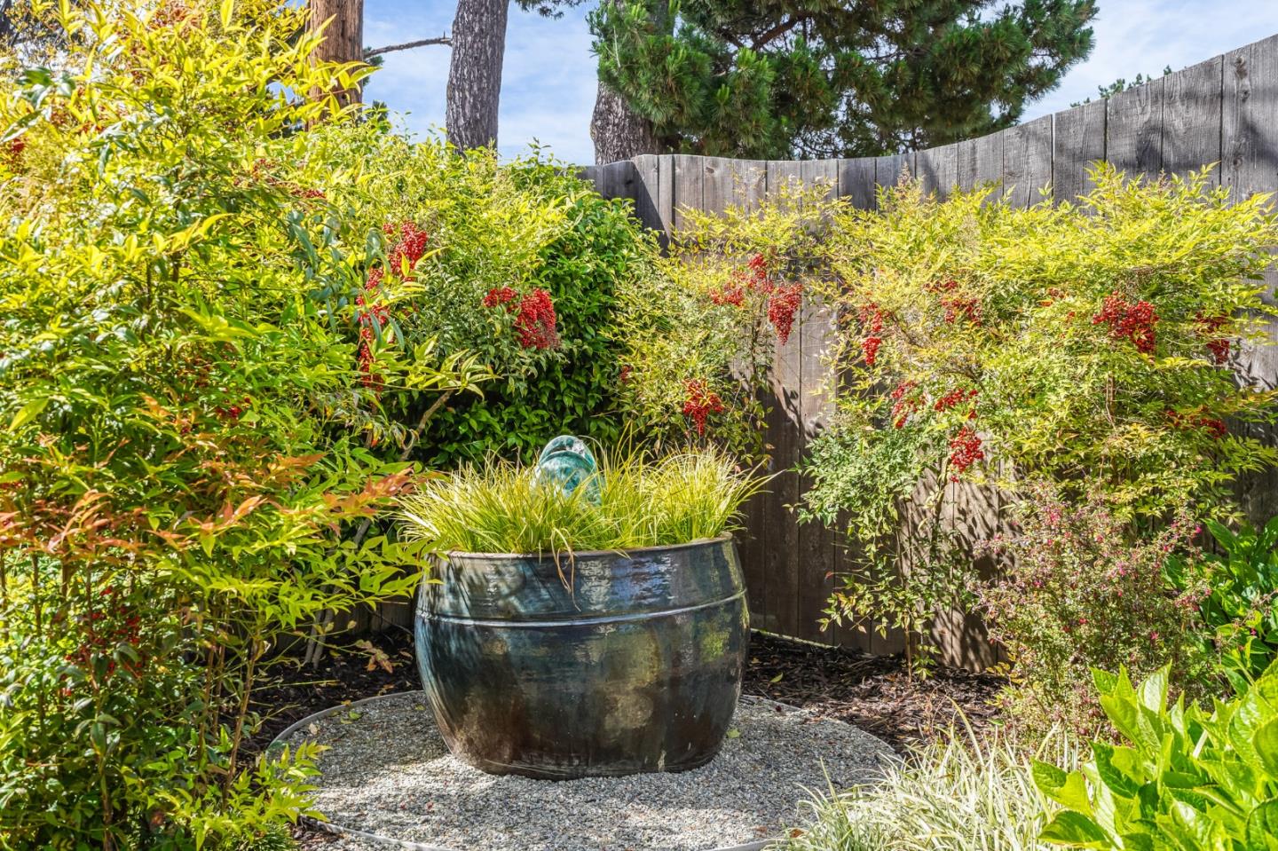 4001 Marshall Avenue San Mateo, CA 94403 - Photo 64 of 88 a view of a garden in a yard