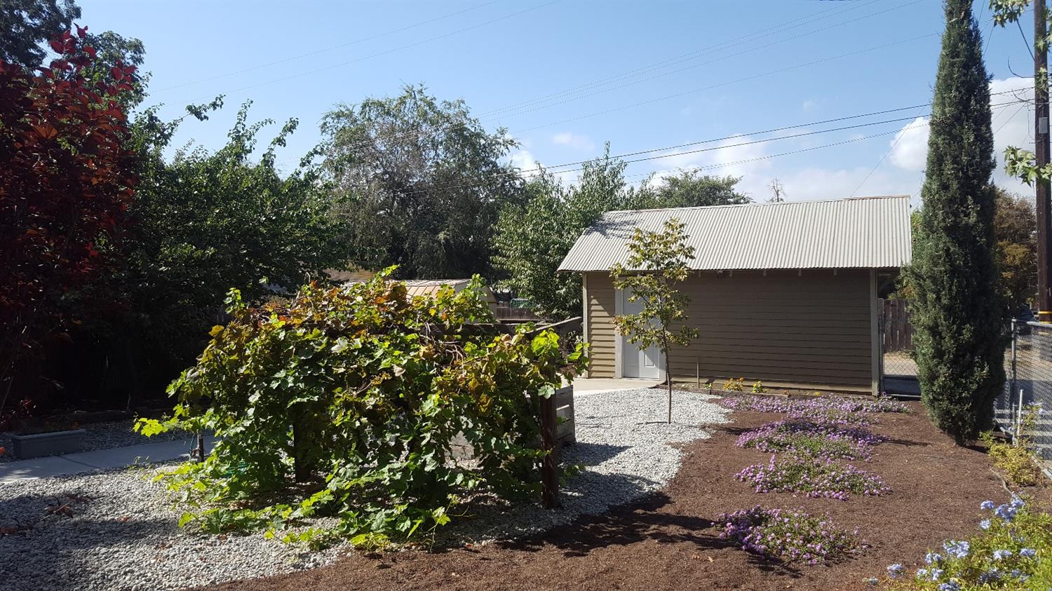 1003 K Street Reedley, CA 93654 - Photo 47 of 49