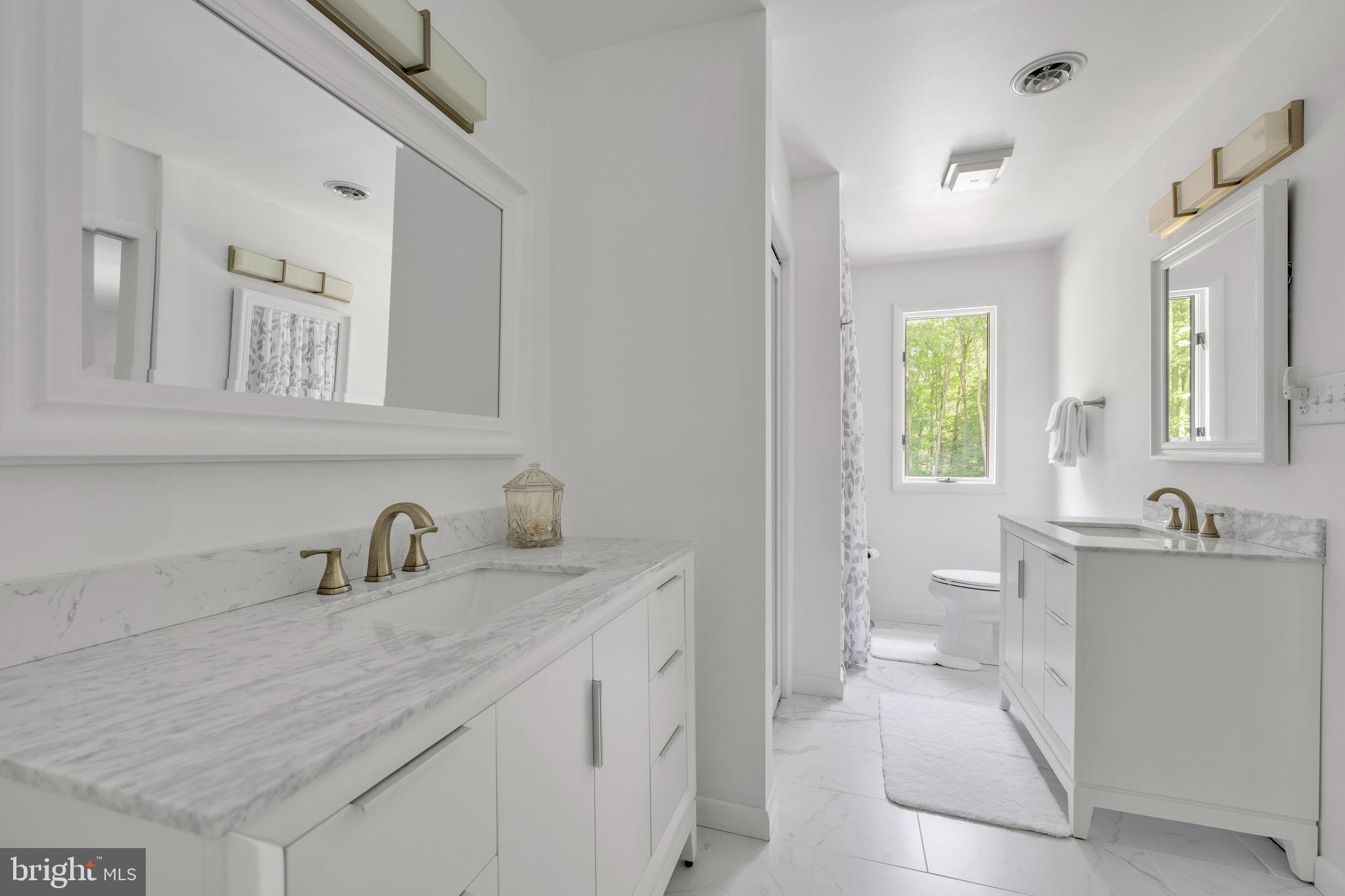 292 Pond Road Millsboro, DE 19966 - Photo 31 of 66 a bathroom with a sink a toilet and a mirror