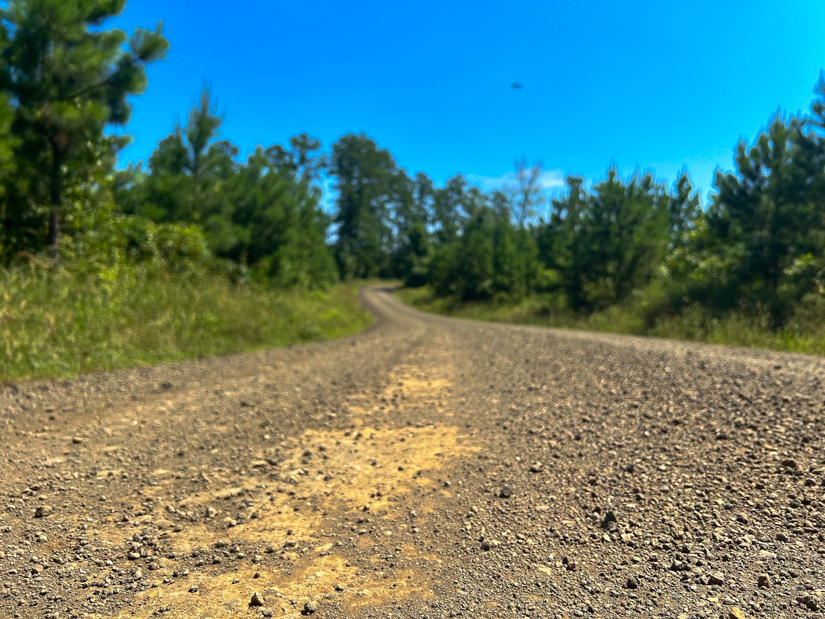 12 West Carters Ferry Road Milam, TX 75959 - Photo 3 of 8 a view of a yard with plants and trees
