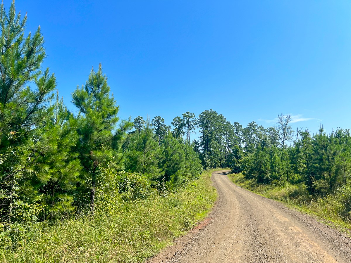 12 West Carters Ferry Road Milam, TX 75959 - Photo 4 of 8 a view of a garden