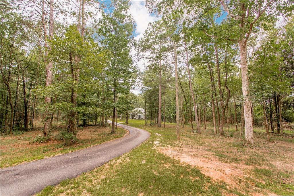 62553 Katherine Holton Road Amite, LA 70422 - Photo 7 of 36 Gallery Image 7