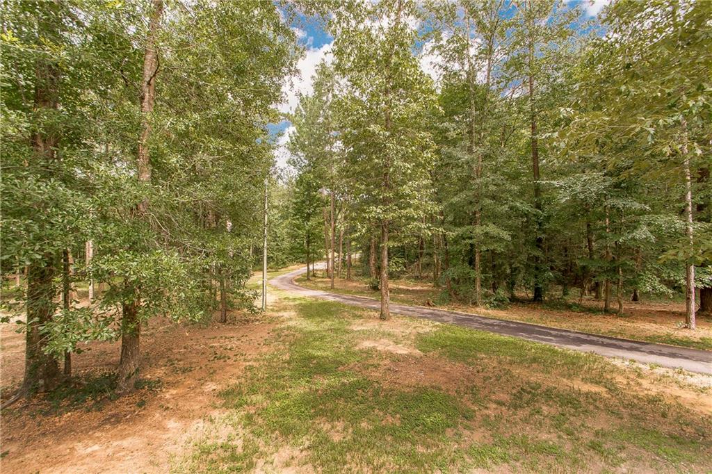62553 Katherine Holton Road Amite, LA 70422 - Photo 8 of 36 Gallery Image 8