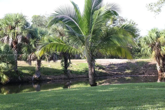 a view of a yard with a tree
