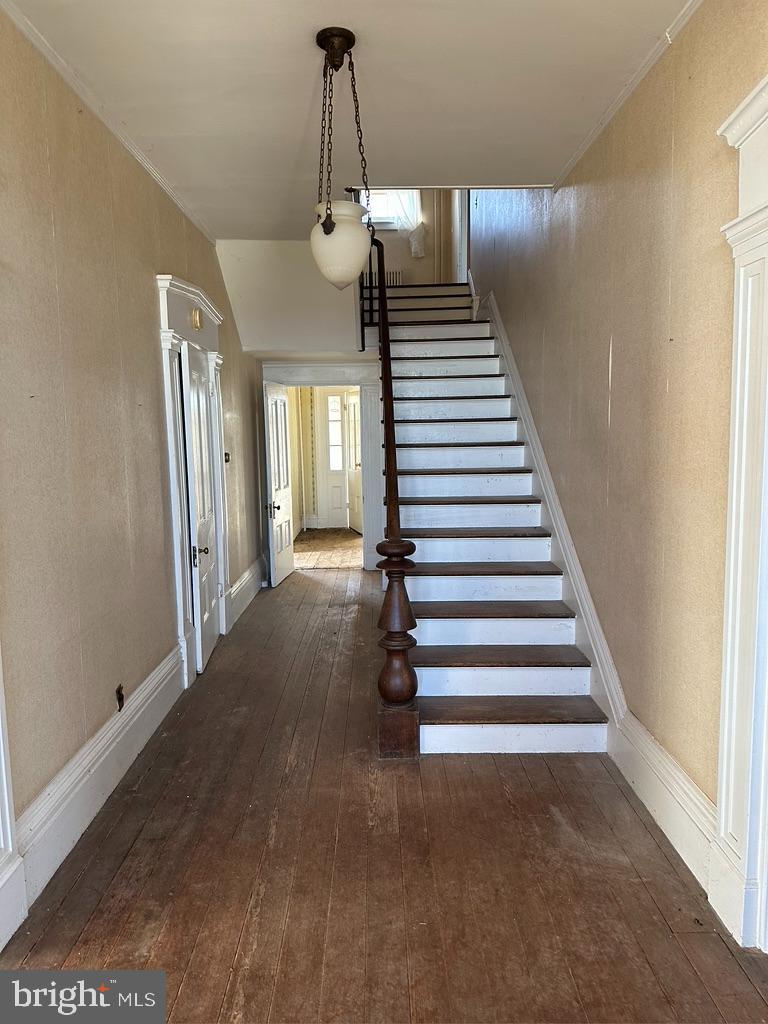 17736 Auburn Road Brandy Station, VA 22714 - Photo 13 of 31 Main Level Hall