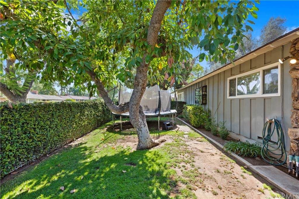 5201 Coventry Drive Riverside, CA 92506 - Photo 4 of 42 a view of an house with backyard and a tree