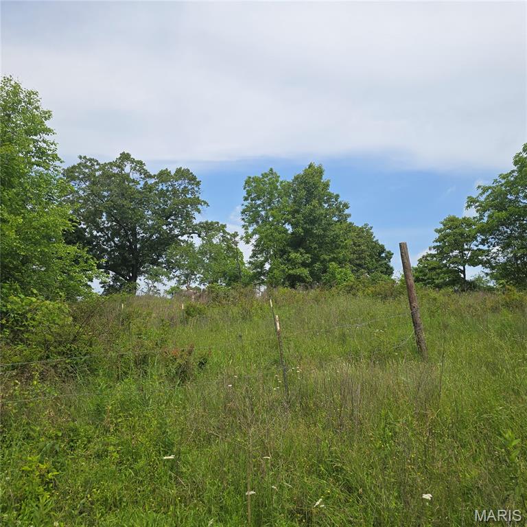14809 East Knox Road Mount Vernon, IL 62864 - Photo 22 of 31