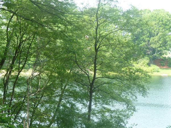 15 Kingsbury Road Norfolk, MA 02056 - Photo 20 of 20 Gallery Image 20