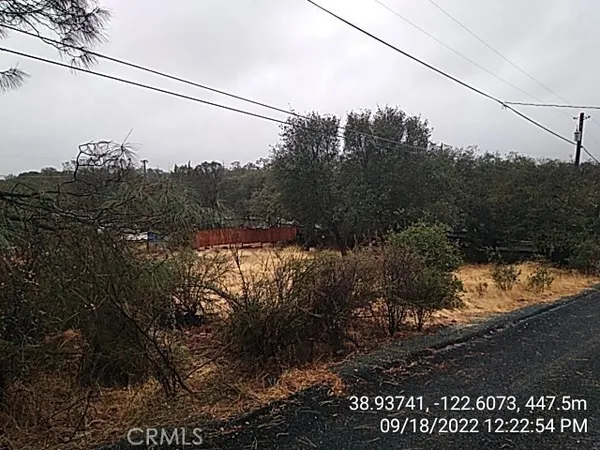 a view of a yard
