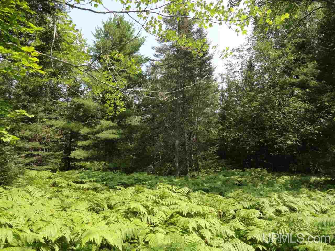 40-acres 40-acres Co Road Ishpeming, MI 49849 - Photo 15 of 36