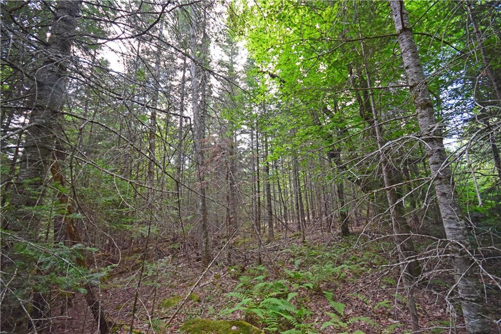 1 Ricker Road Carroll Plt, ME 04487 - Photo 6 of 14 Photo