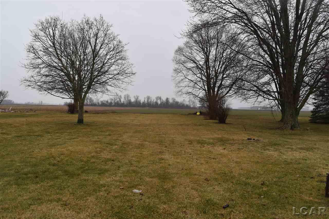 6336 Palmyra Road Palmyra, MI 49268 - Photo 19 of 21 Rear Yard