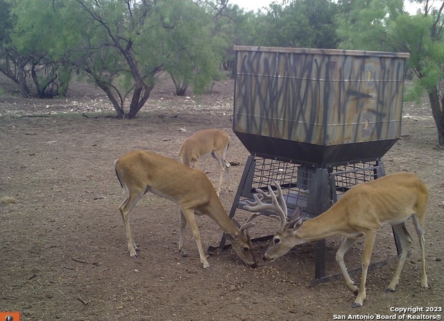587 Valley Road Christoval, TX 76935 - Photo 11 of 41 a view of a chairs and table in the patio