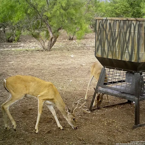 a view of backyard with wooden fence