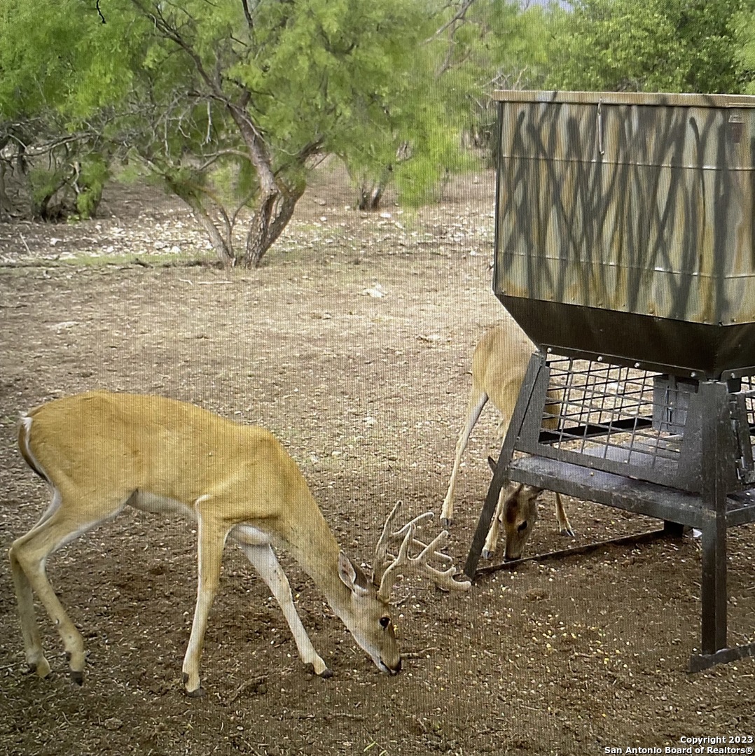 587 Valley Road Christoval, TX 76935 - Photo 12 of 41 a view of backyard with wooden fence