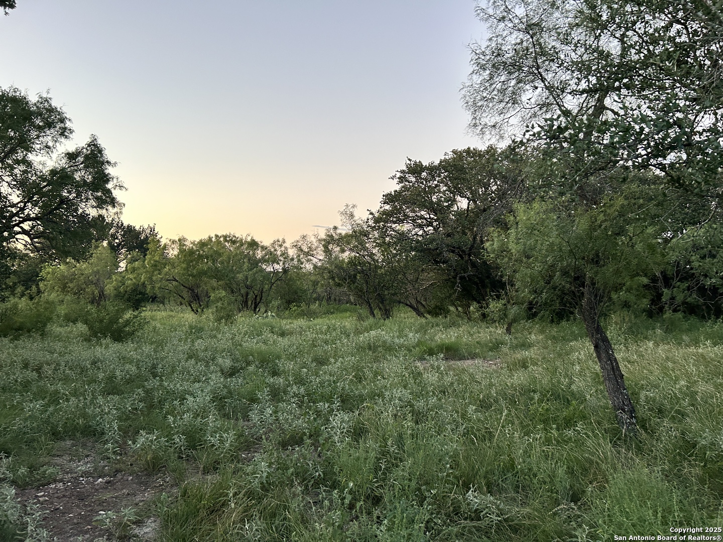587 Valley Road Christoval, TX 76935 - Photo 2 of 41 a view of a lush green forest with lots of trees